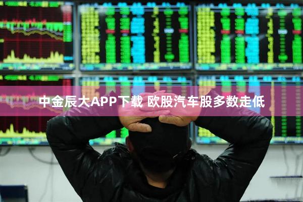 中金辰大APP下载 欧股汽车股多数走低